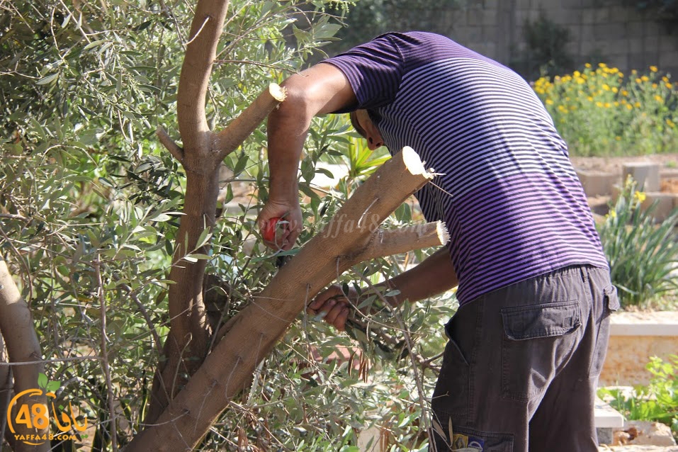 lajna ekram mayet 3 (18).JPG